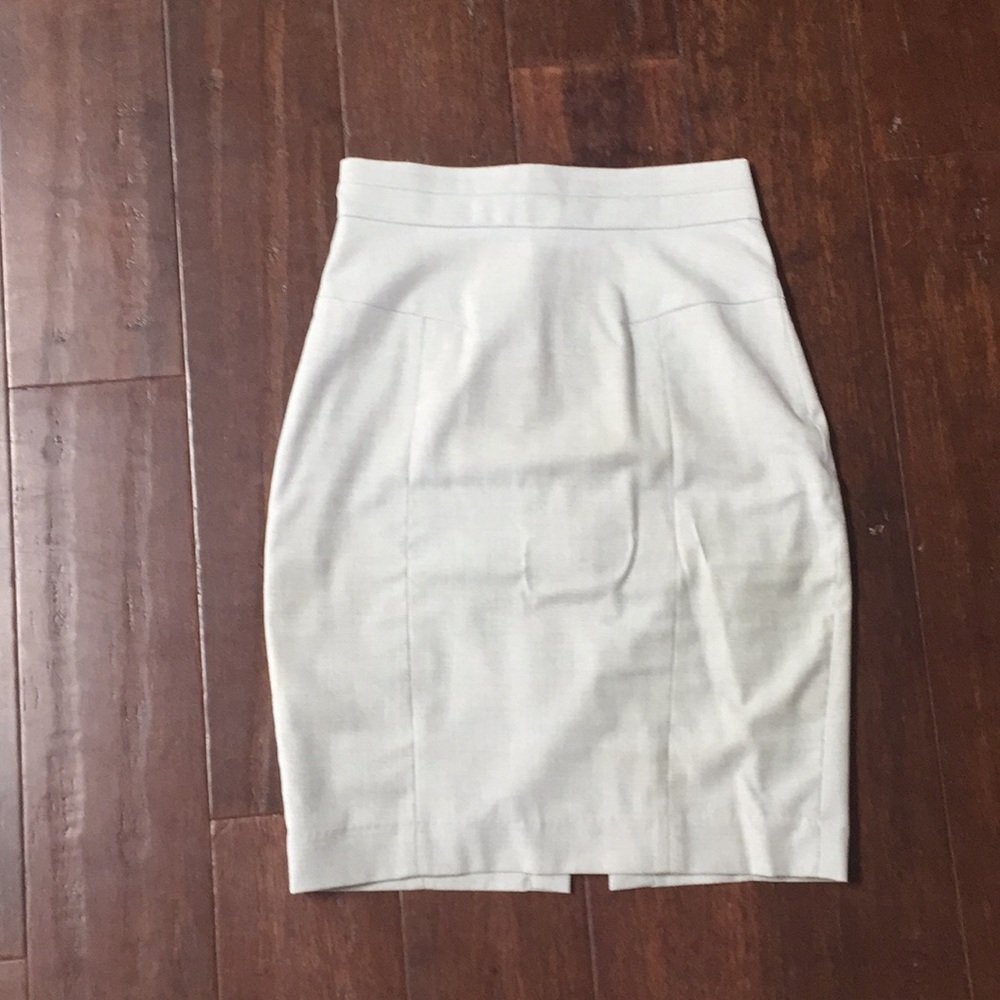 Pencil Skirt